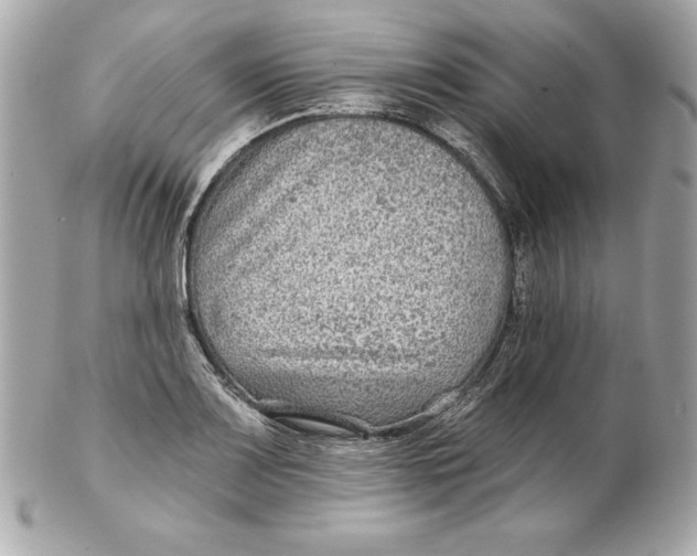 X0000102281083200808151922