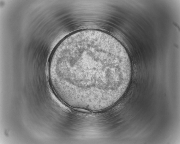 X0000102281084200808151922