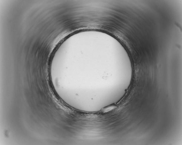 X0000102281085200808151922