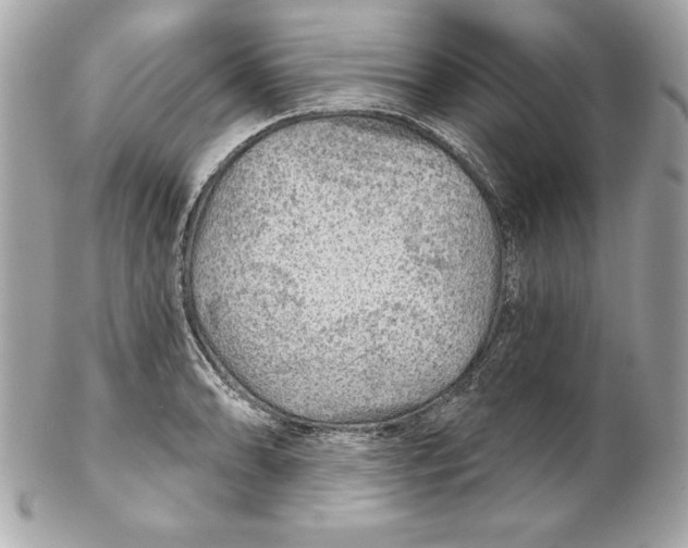 X0000102281086200808151922