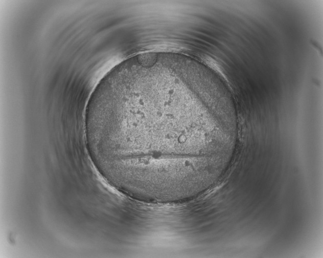 X0000102281087200808151922