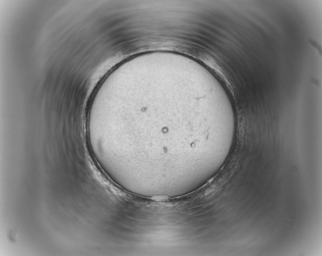 X0000102281088200808151922