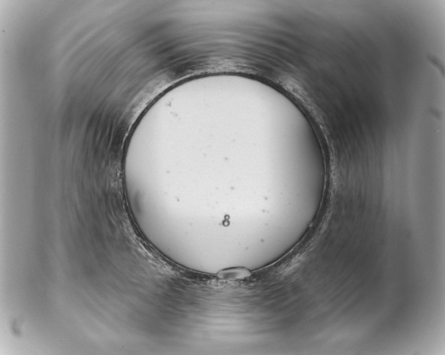 X0000102281089200808151922