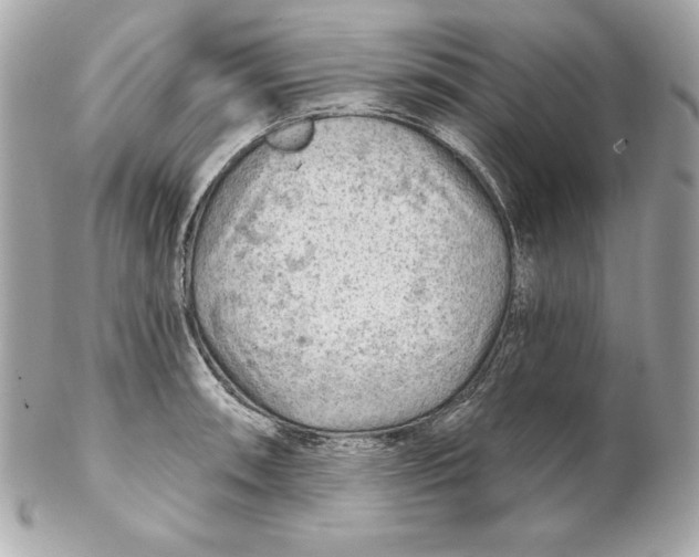 X0000102281090200808151922