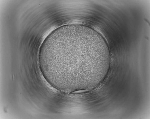 X0000102281091200808151922