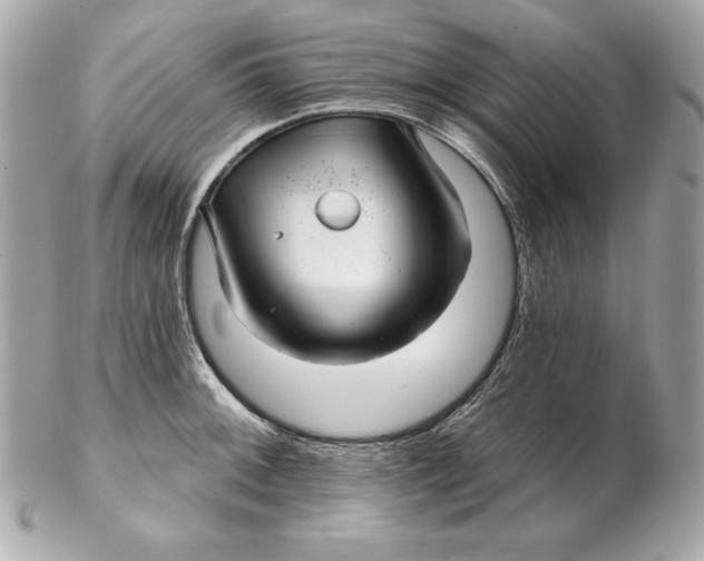 X0000102281092200808151922