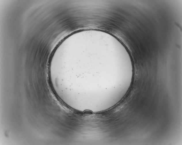 X0000102281093200808151922