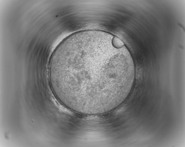 X0000102281094200808151922