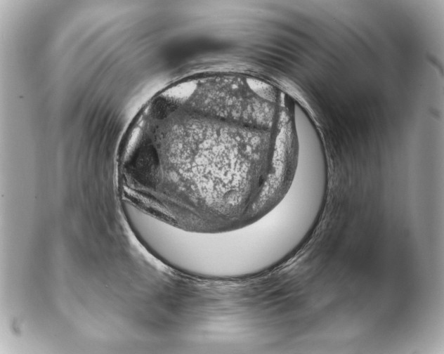 X0000102281095200808151922