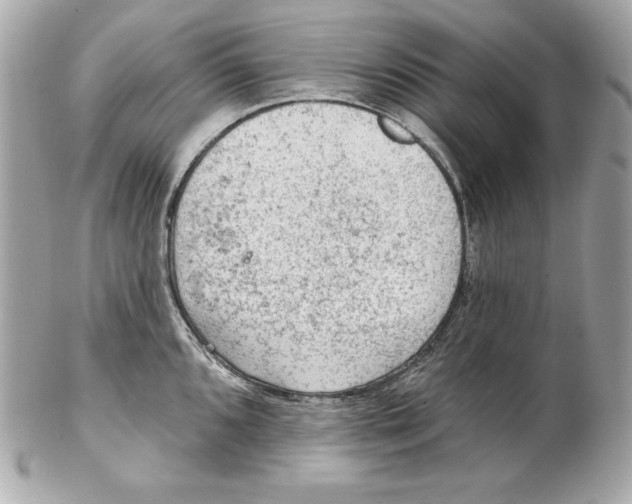 X0000102281096200808151922