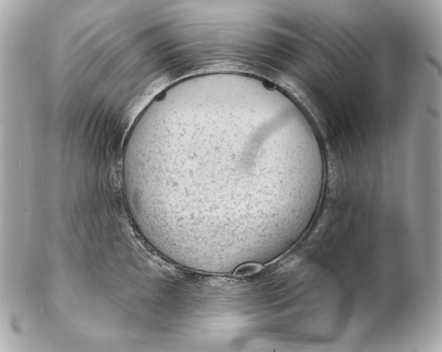 X0000102281097200808151922