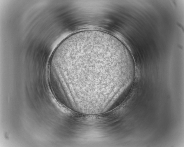 X0000102281098200808151922