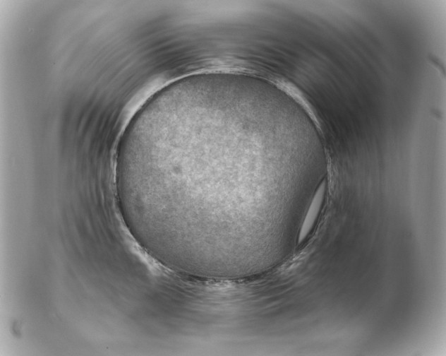 X0000102281099200808151922