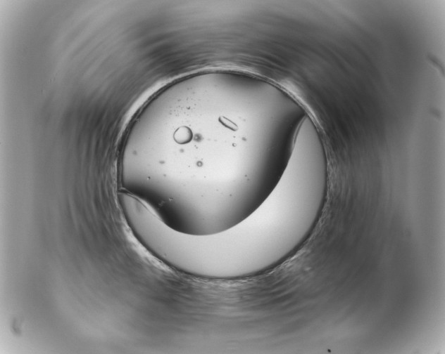 X0000102281100200808151922