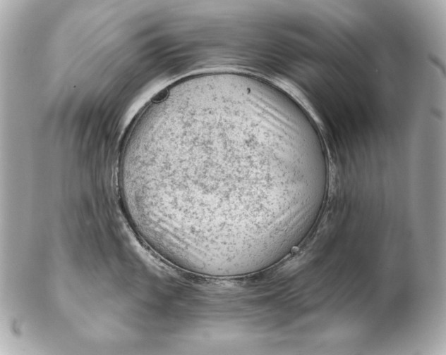 X0000102281101200808151922