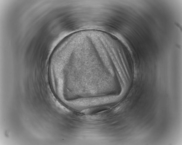 X0000102281102200808151922