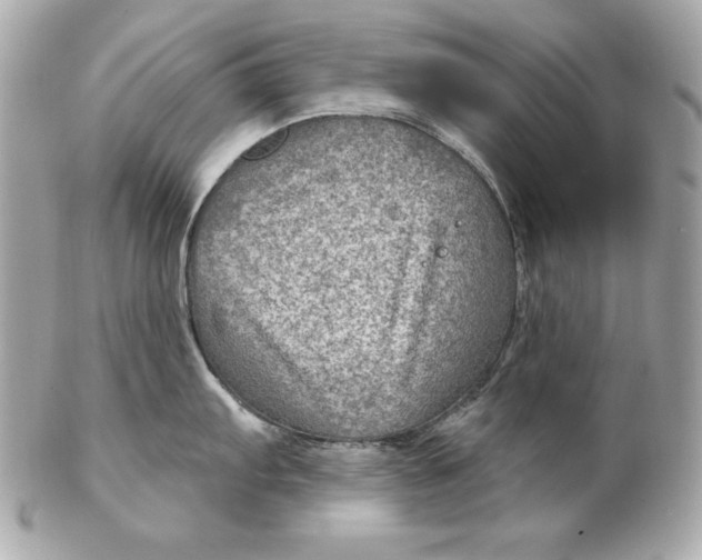 X0000102281103200808151921