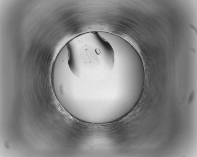 X0000102281104200808151921