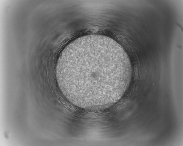 X0000102281105200808151920