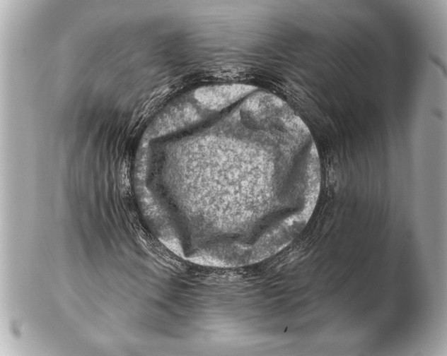 X0000102281106200808151920