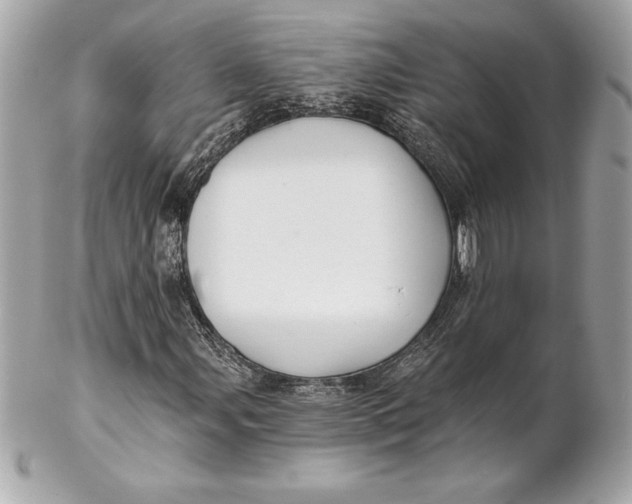 X0000102281107200808151920