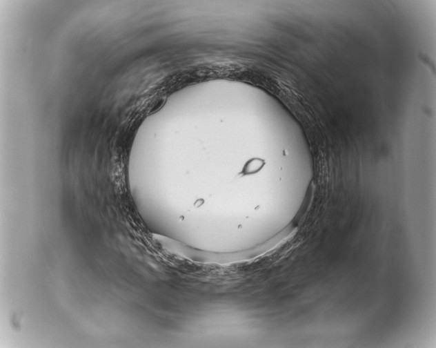 X0000102281109200808151921