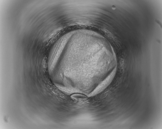 X0000102281110200808151921