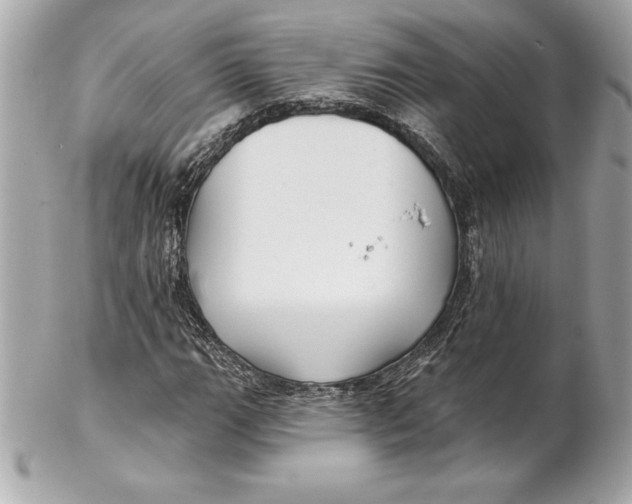 X0000102281111200808151921