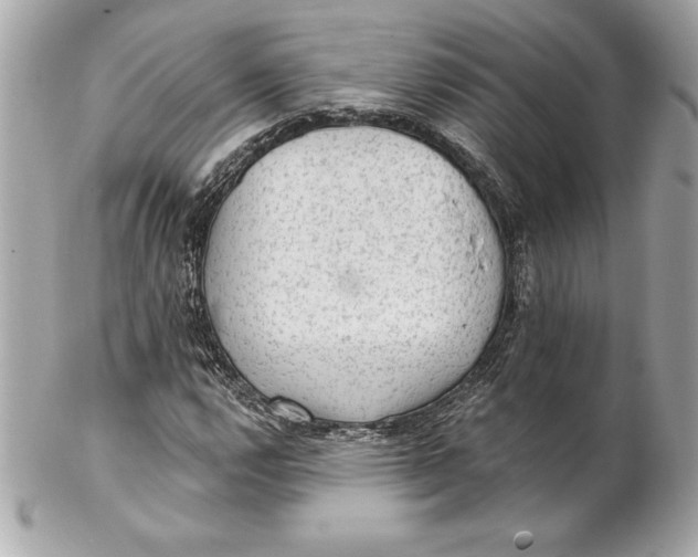 X0000102281112200808151921