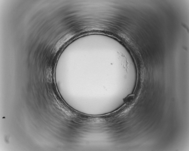 X0000102281113200808151921