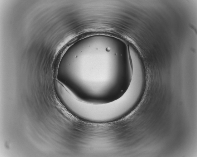 X0000102281114200808151921