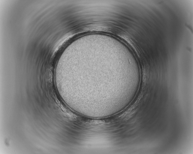 X0000102281115200808151921