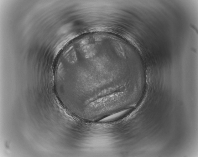 X0000102281117200808151921