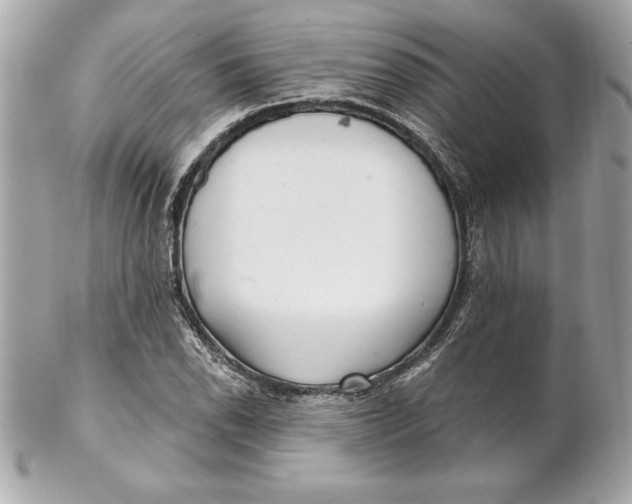 X0000102281118200808151921