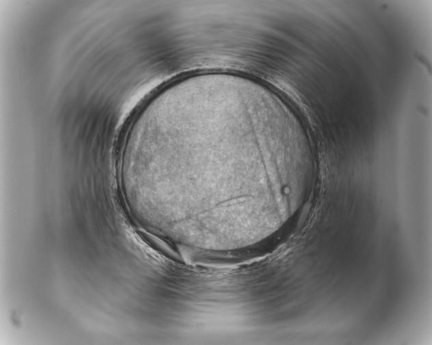 X0000102281120200808151921