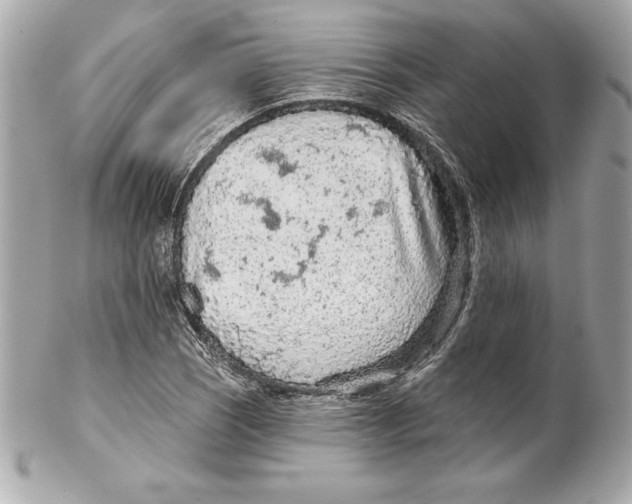 X0000102281121200808151921