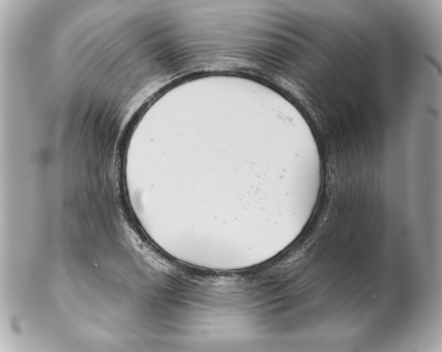 X0000102281122200808151921