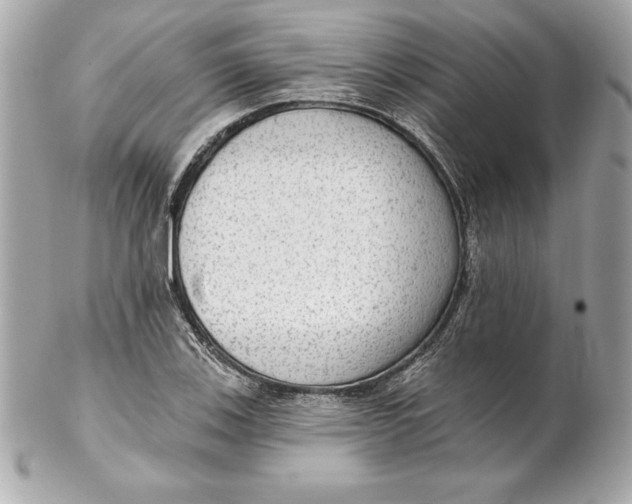 X0000102281123200808151921