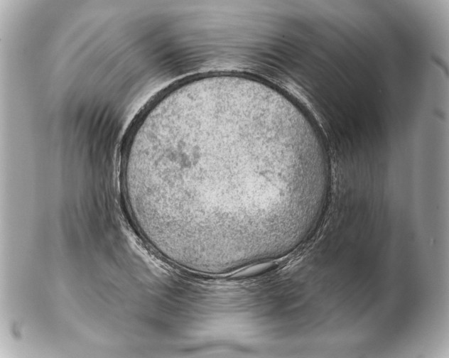 X0000102281124200808151921