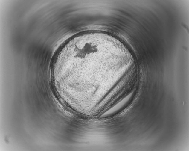 X0000102281125200808151921