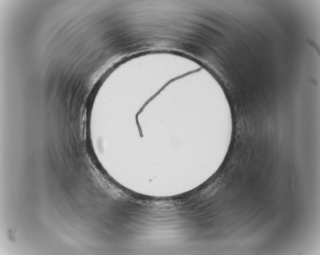 X0000102281126200808151921