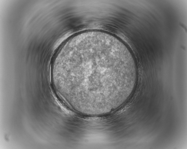 X0000102281127200808151921