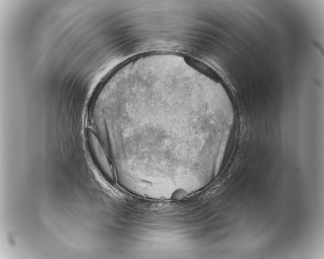 X0000102281128200808151921