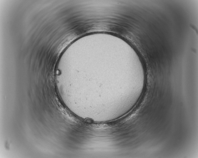 X0000102281129200808151921