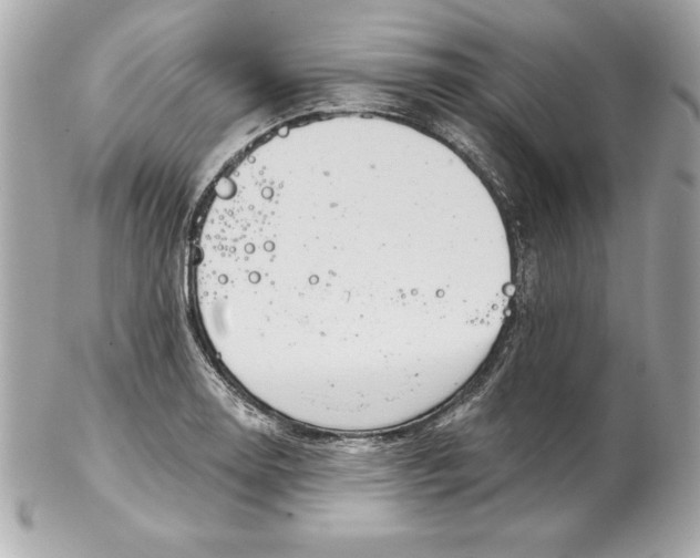 X0000102281130200808151921