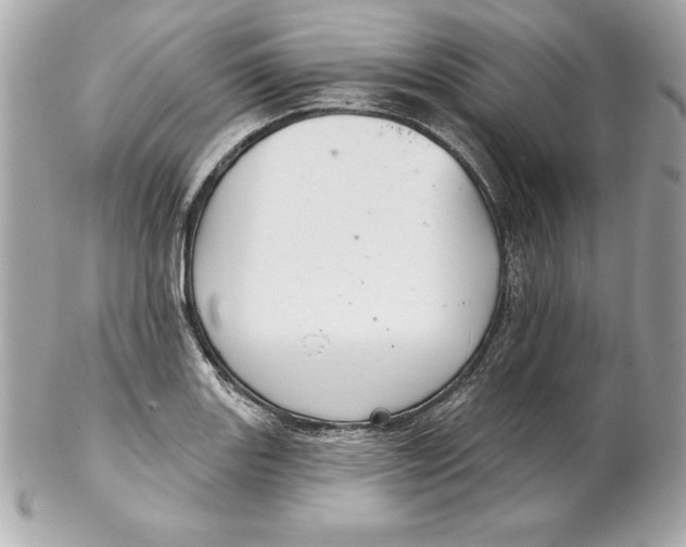 X0000102281131200808151921