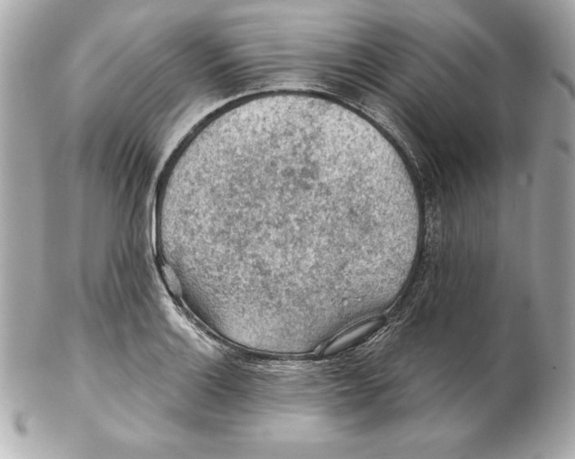 X0000102281132200808151921