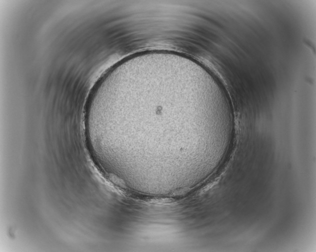 X0000102281133200808151921