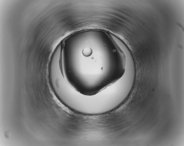 X0000102281134200808151921