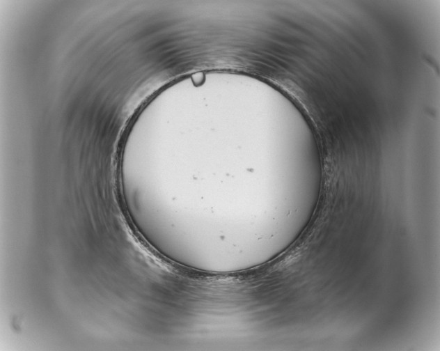 X0000102281135200808151921